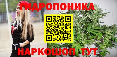 дмт Анапа