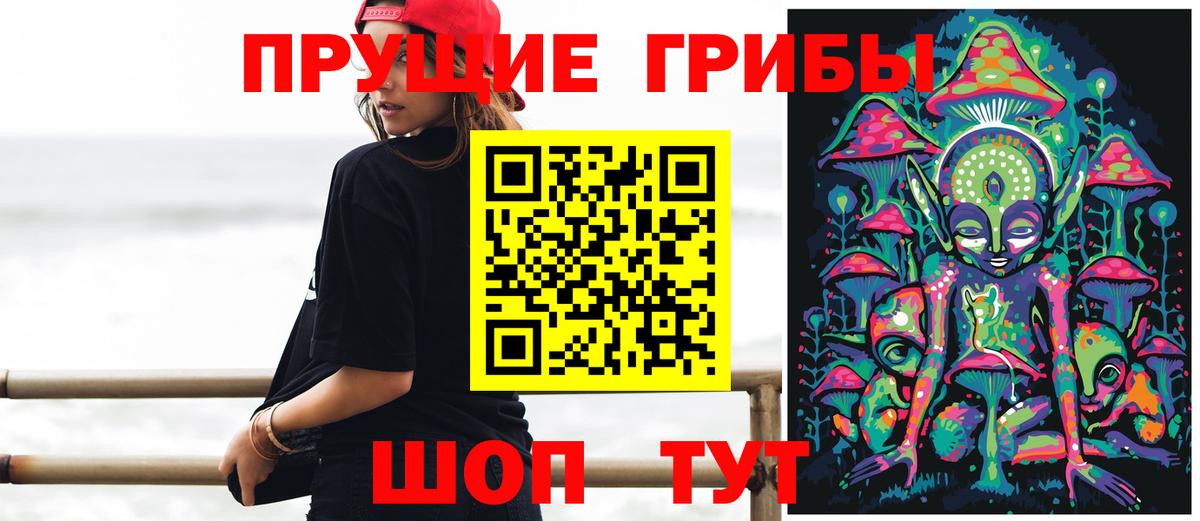Тара  где продают наркотики  Вход с VPN  Галлюциногенные грибы Cubensis 
